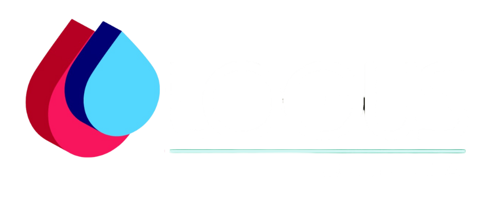Logus Química